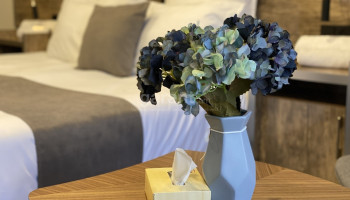 Sion - Luxe Cottage 5