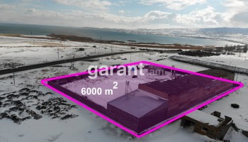 Sevan, Ready business, 6000 sq.m