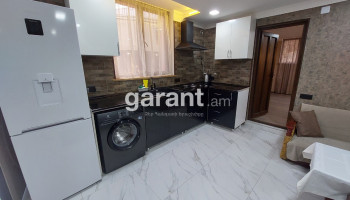 MS House Dilijan